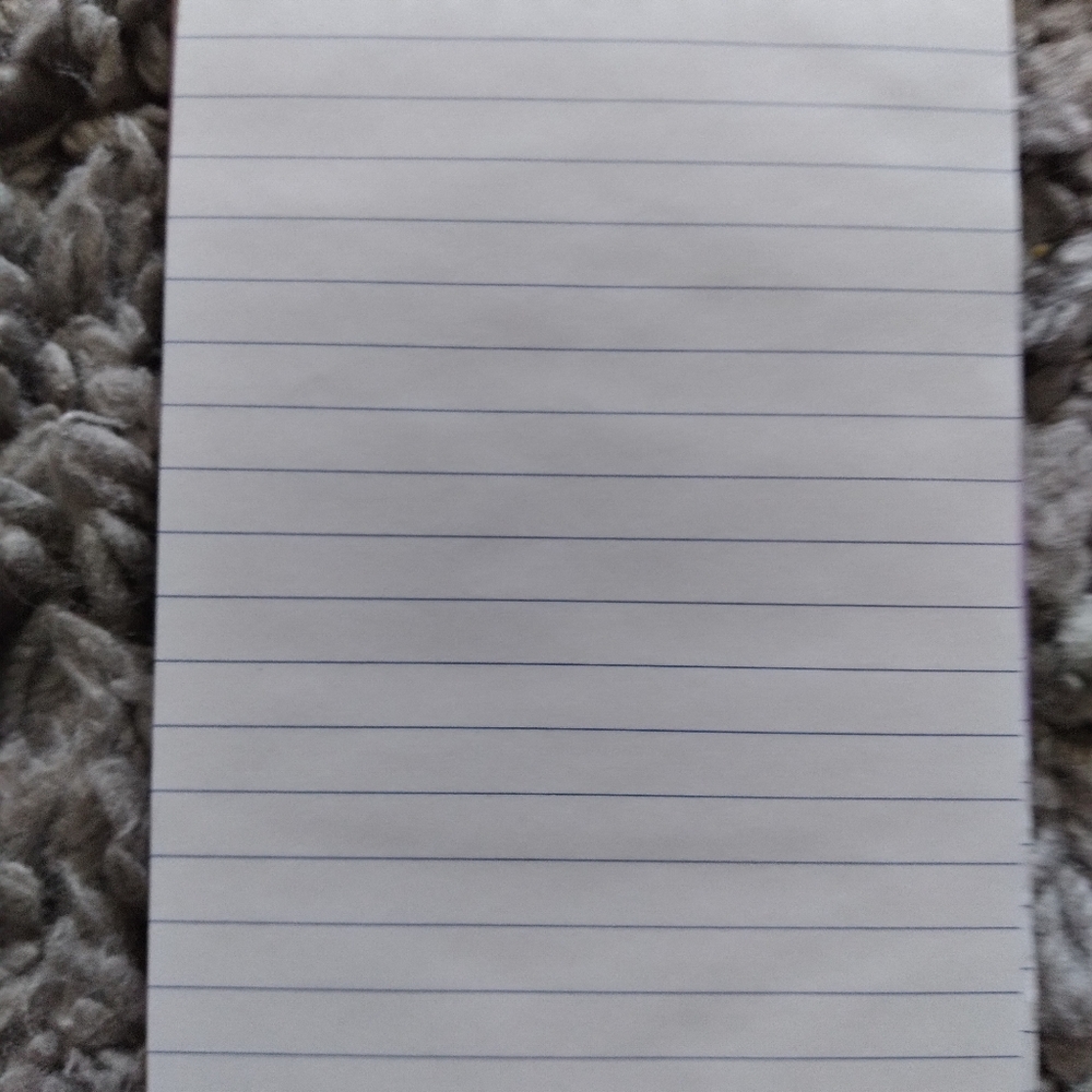 Journal - Picture 3 of 3